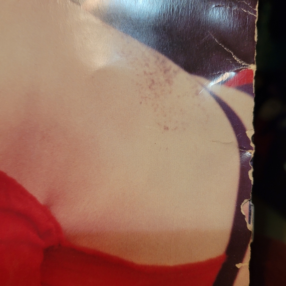 Madonna 1984 Virgin Tour Program. - image 5